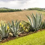 Agavi Farmház