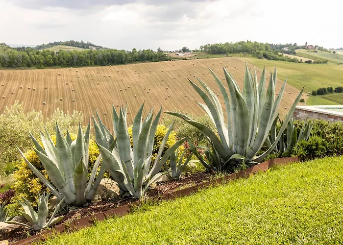 Agavi Gospodarstwo agroturystyczne